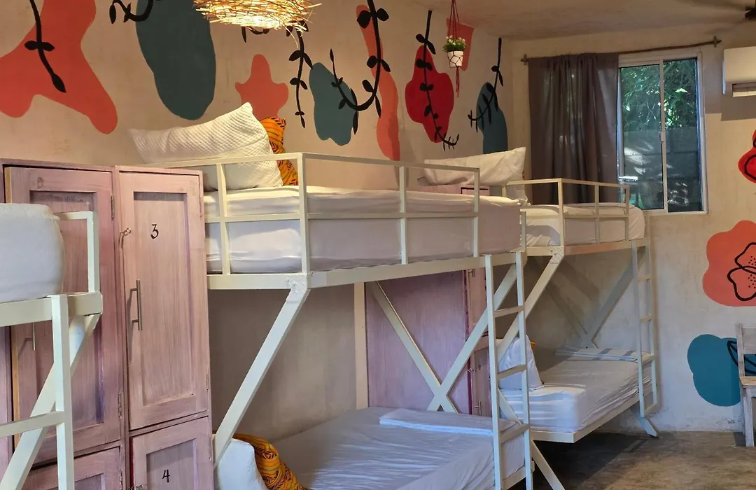 Hostel Valladolid 48-1
